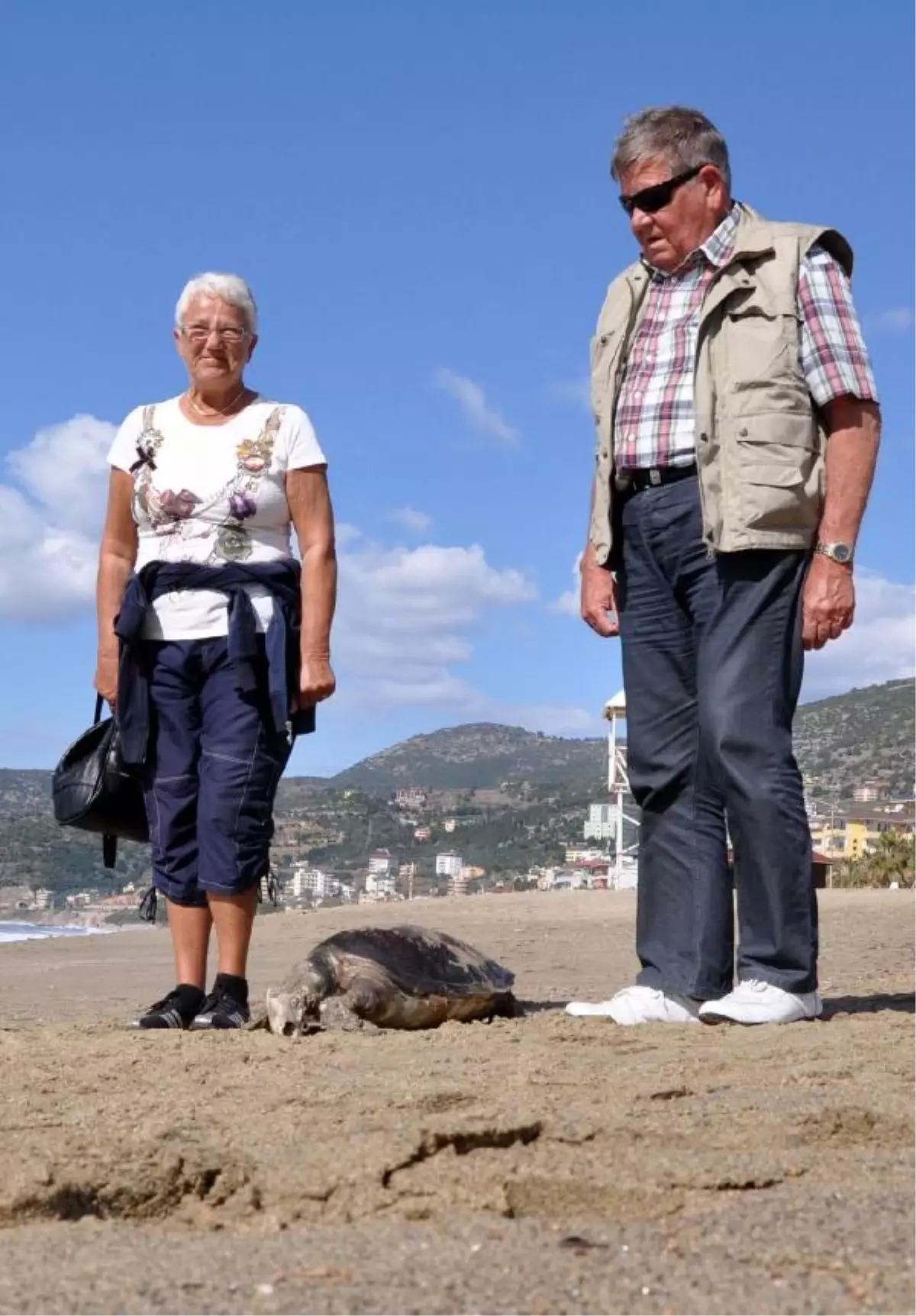 Sahilde Kafası Kopmuş Caretta Caretta Bulundu