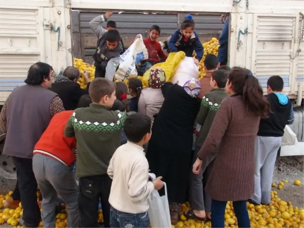 Şanlıurfa\'da Bedava Limon İzdihamı