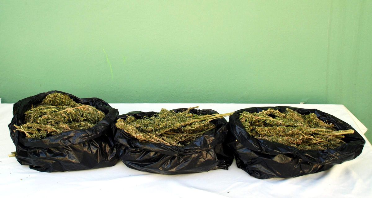 Yolcu Otobüsünde 6 Kilo Esrar Bulundu