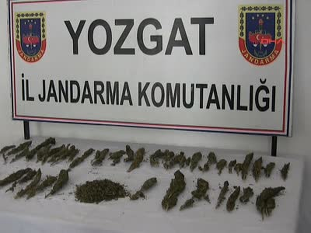 Yozgat\'ta 500 Gram Esrar Ele Geçirildi