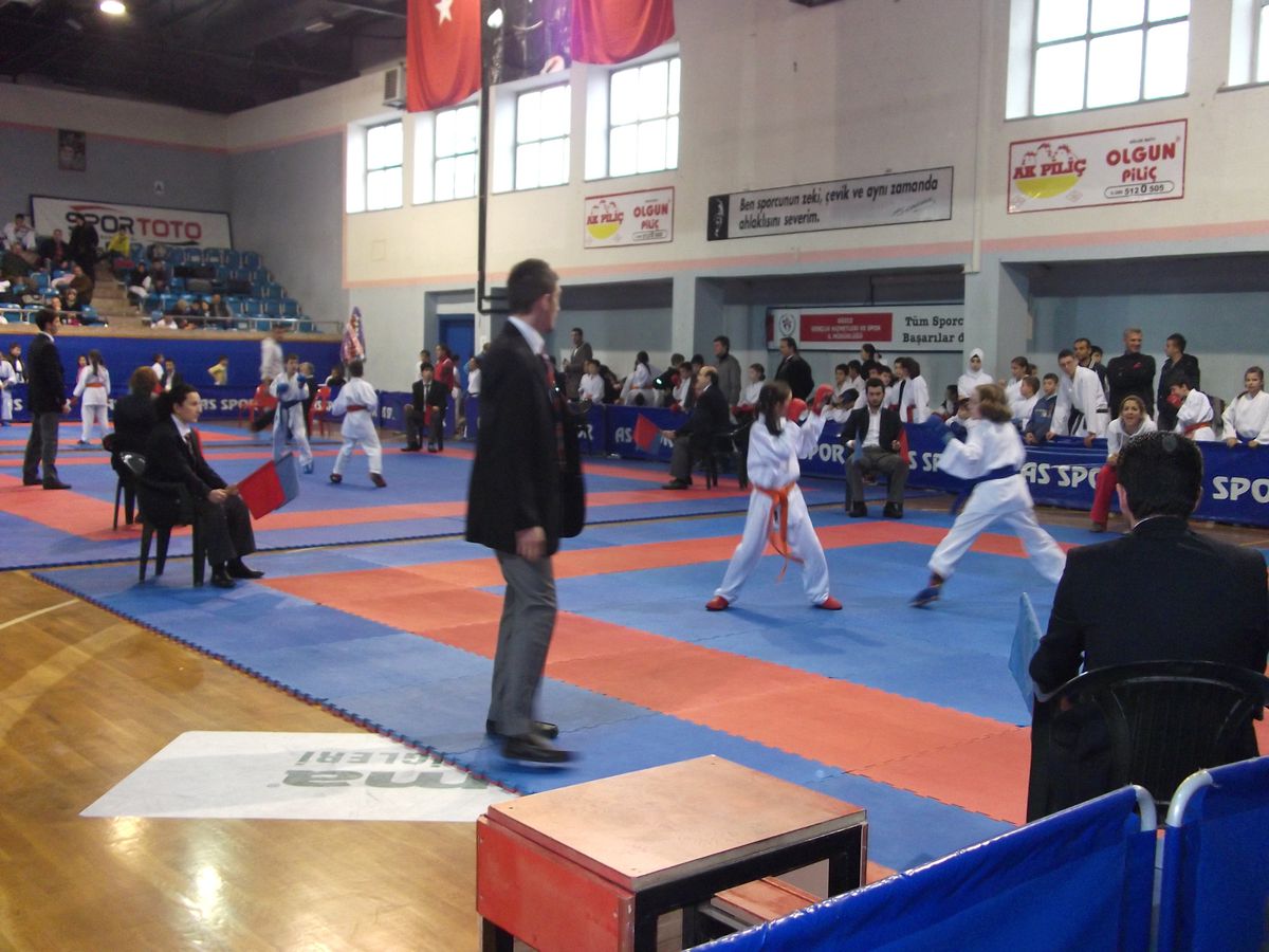 11 İlin Karate Kulüpleri Düzce\'de