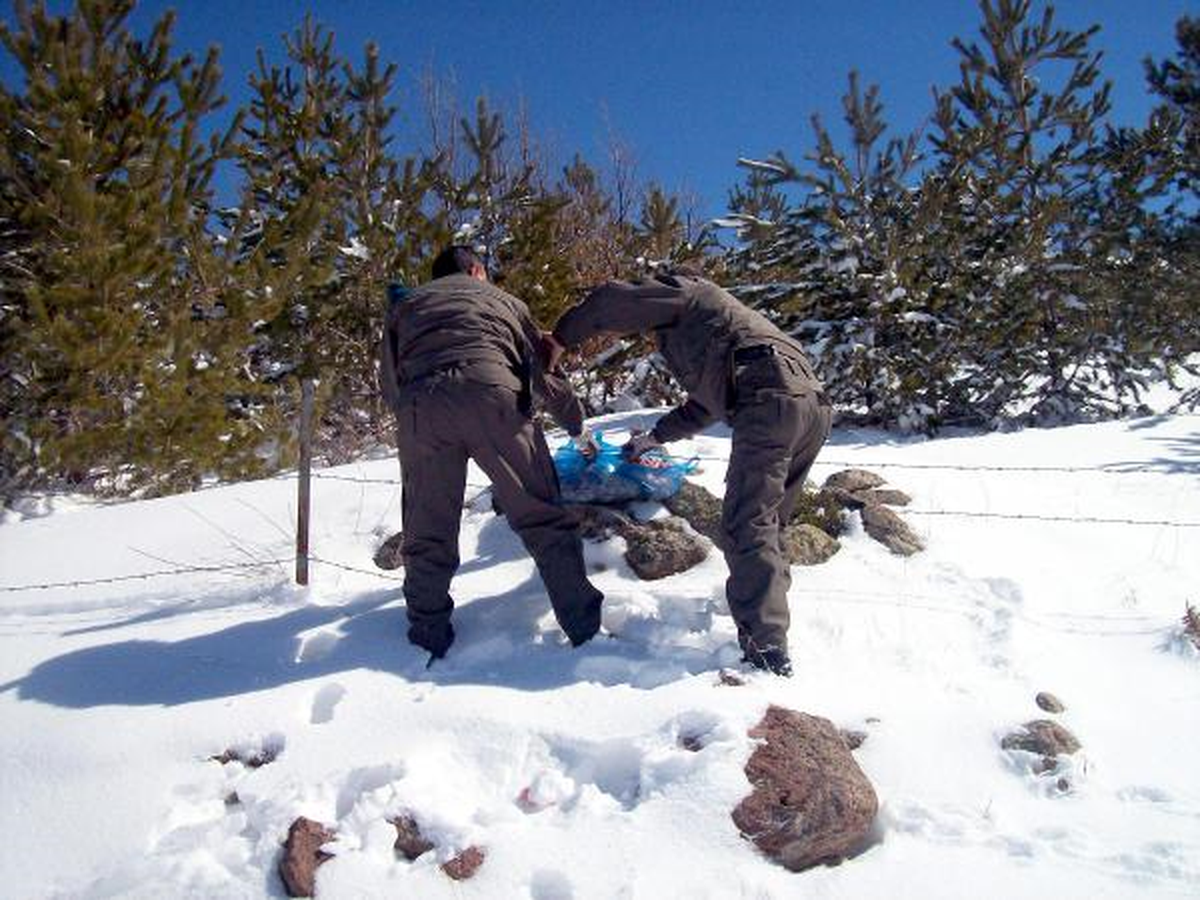 Aç Kalan Hayvanlar İçin Doğaya Yiyecek Bırakıldı