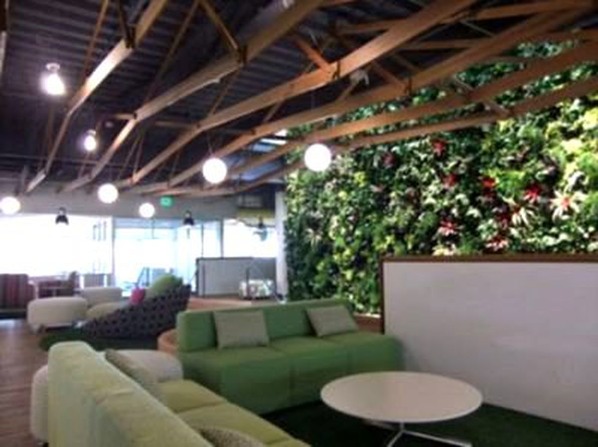 Googleplex\'in Fotoğrafları Ortaya Çıktı!