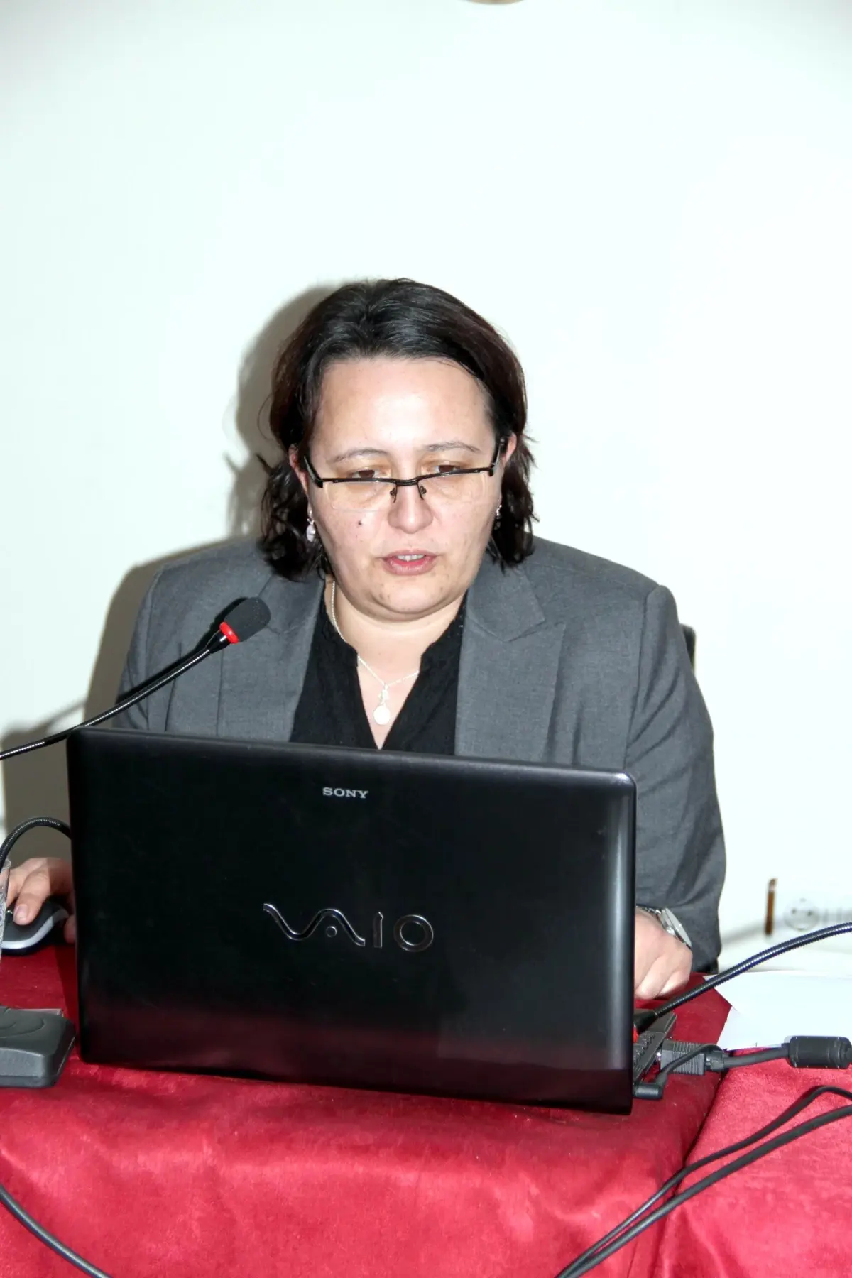 Koruma Kurulu Toplantısı Yapıldı