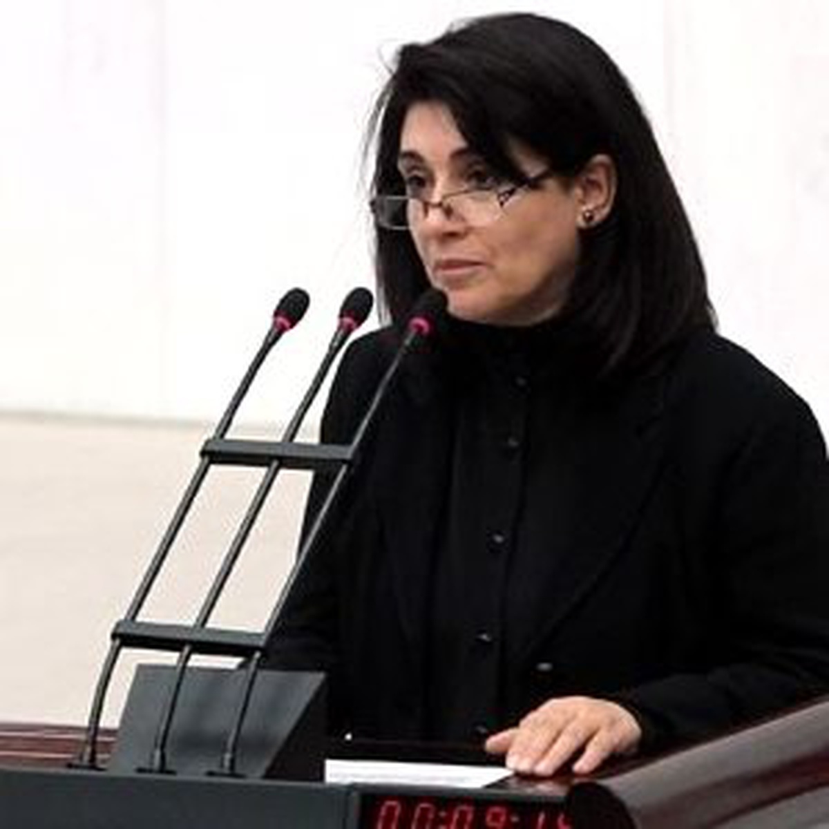 Leyla Zana '20 Yıllık Birikimi' Döktü
