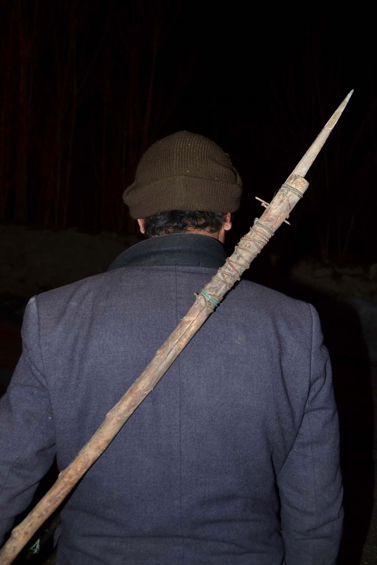 Mızrakla Kurtlardan Korunuyor