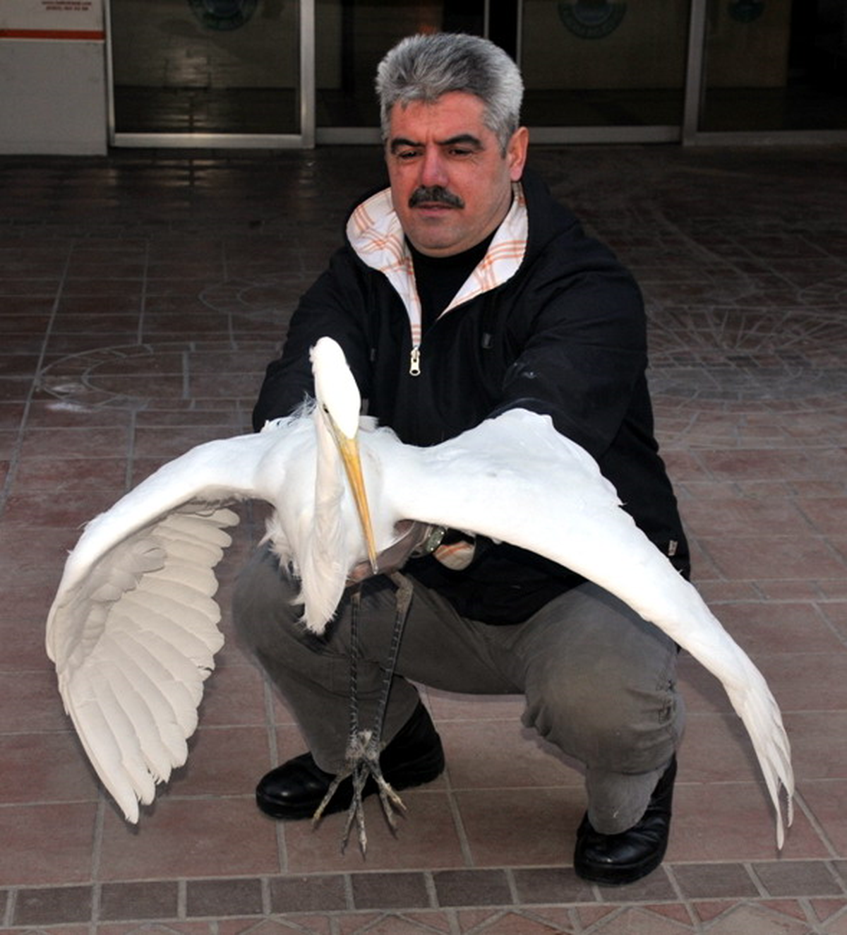 Yaralı Leyleğe Belediye Şefkati