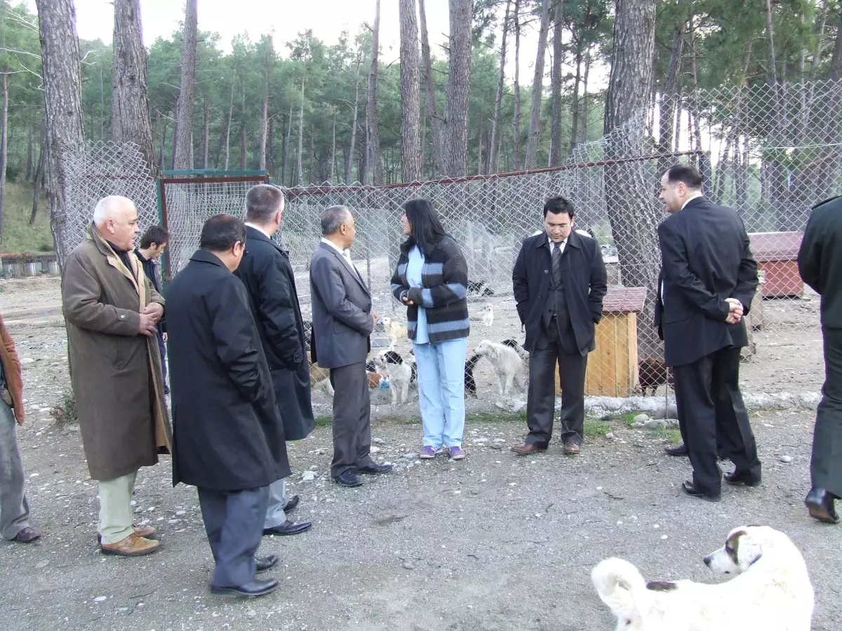 Kaymakam ve Başkanlardan Hayvan Barınağına Ziyaret