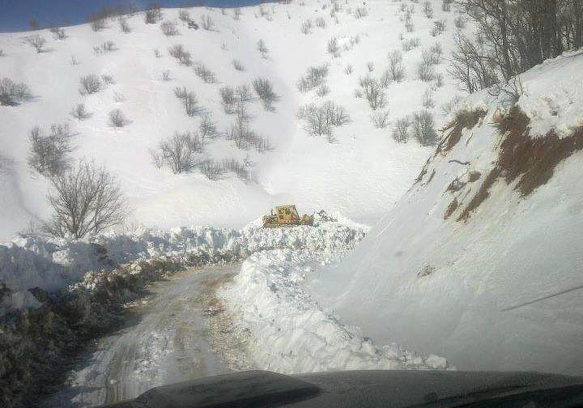 Lice Kara Teslim