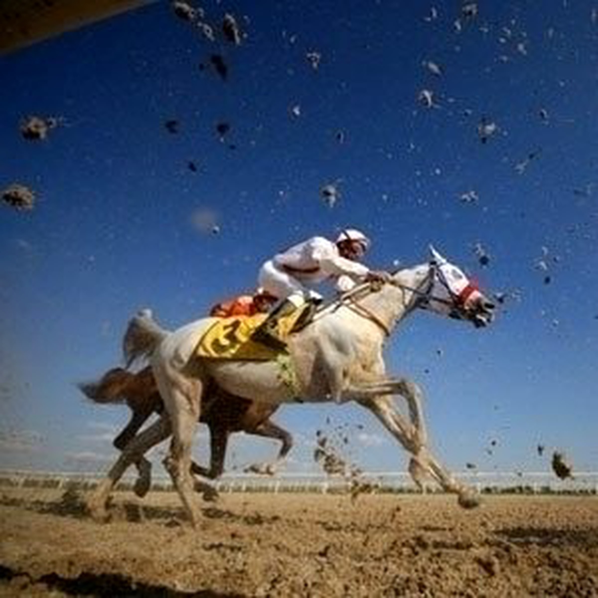 Altılı Ganyan 3 Bin 852,80 Lira İkramiye Verdi