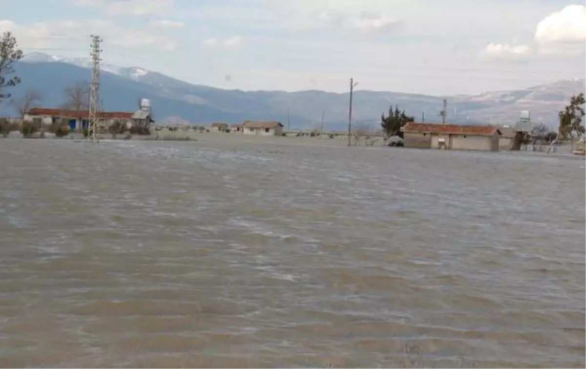 Baraj Kapakları Açıldı, Amik Ovası Yine Sular Altında