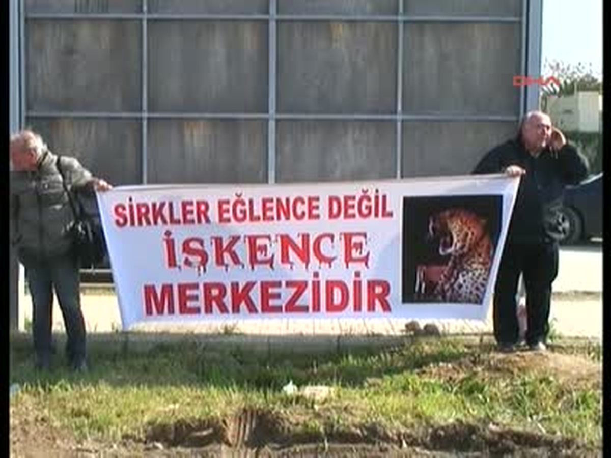 Hayvanseverlerin Sirk Protestosu