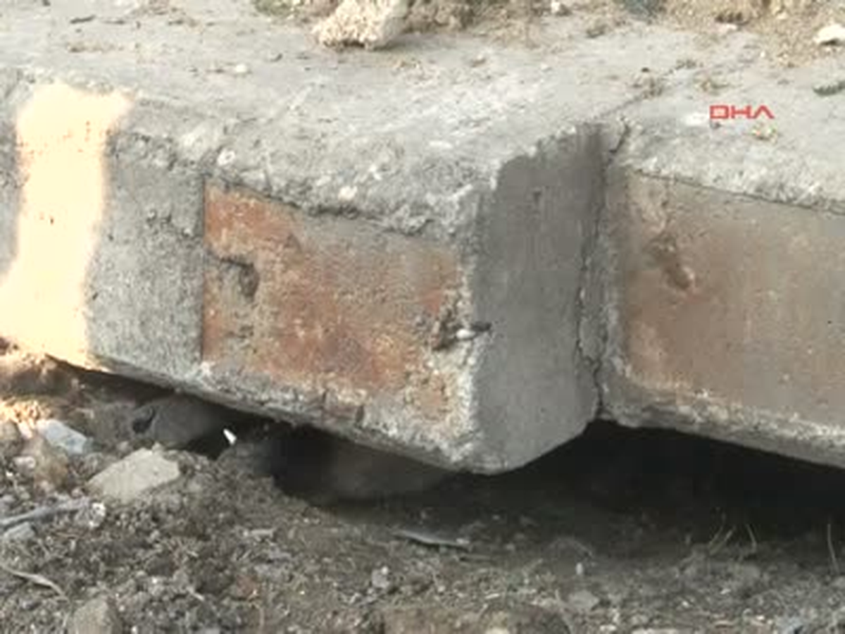 Köpek Kurtarma Operasyonu