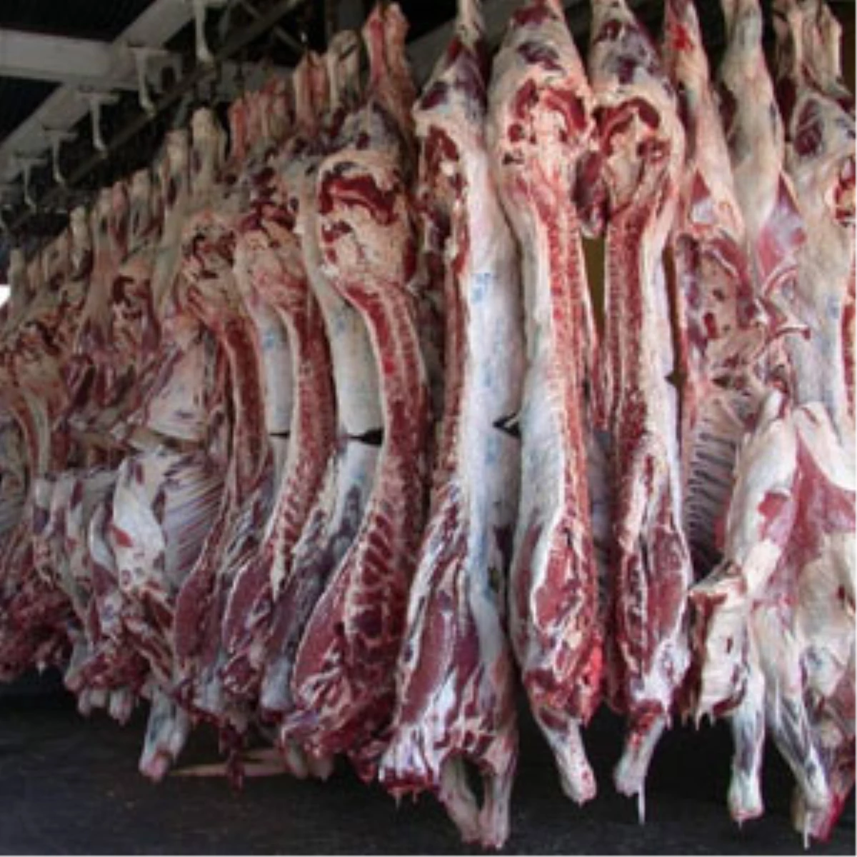 Sığır Eti İthalatına İlişkin Sağlık ve Teknik Şartlar Belirledi