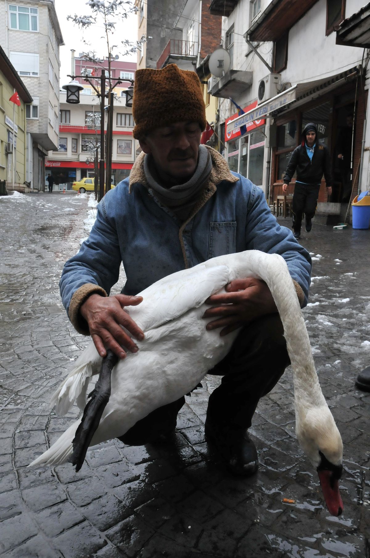 Yaralı Kuğu Balıkçılar Tarafından Tedavi Edildi