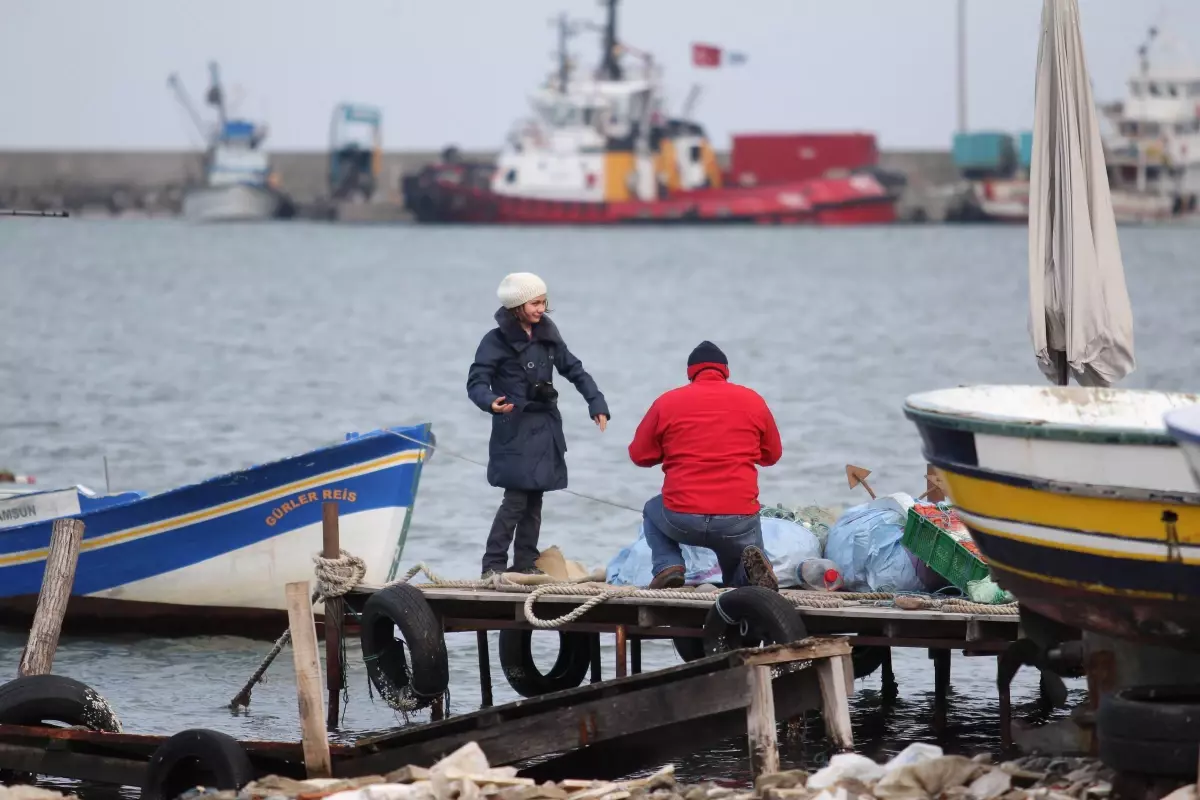 Balıkçı Barınağını "Fokus"Ladılar