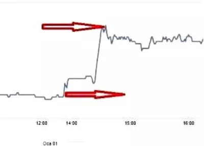 Https Www Sondakika Com Haber Haber Bursa Da Tezhip Kursu