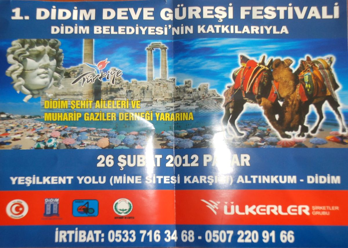 Didim Deve Güreşleri 26 Şubat\'ta Yapılacak