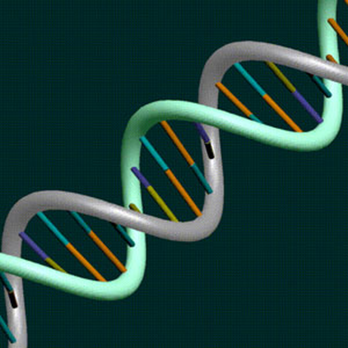 Dna Dizilimleri Saatler İçinde Saptanabilecek