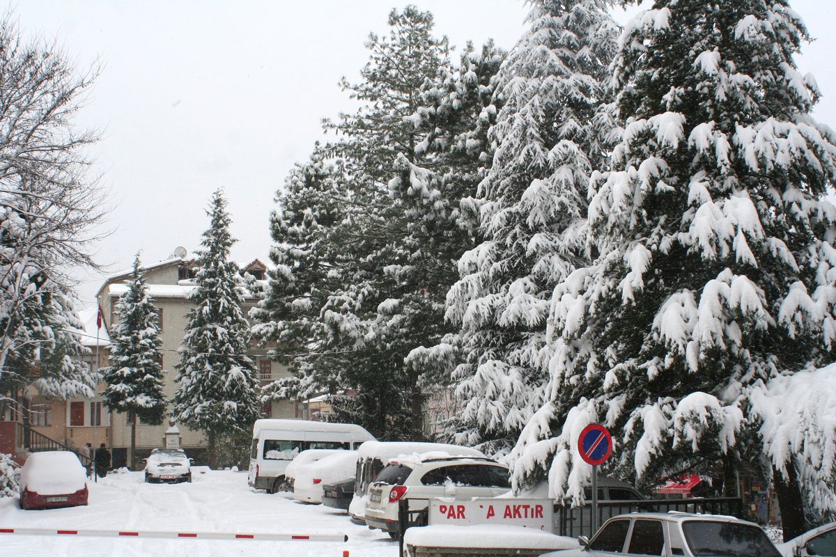 Kumru Kar Altında