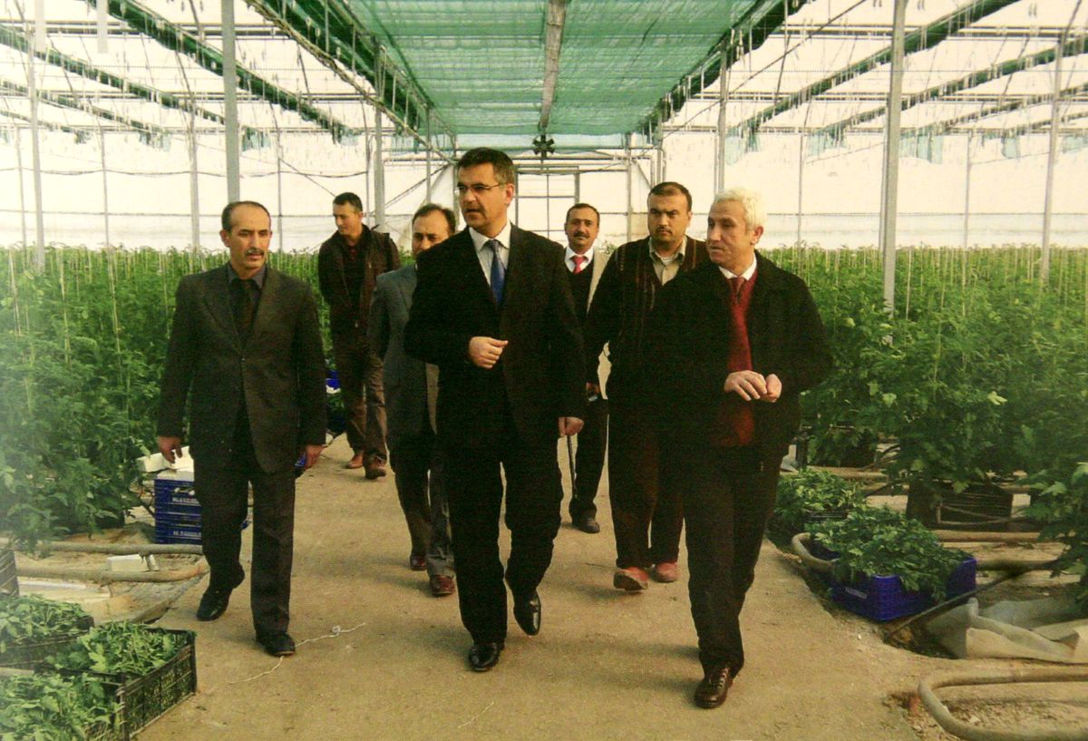 Adana\'da \'Topraksız Tarım\' Çalışmaları