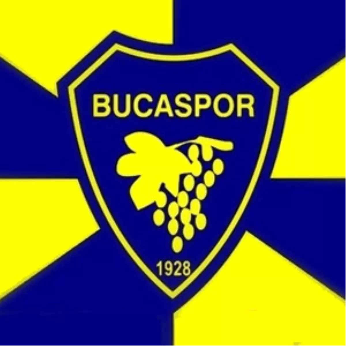 Bucaspor\'da Erman Şoku