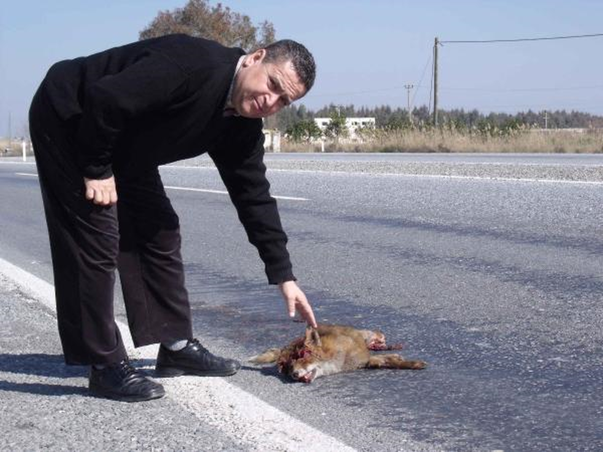 Uyarı Levhalarına Rağmen Yaban Hayvanları İçin Tehlike Sürüyor