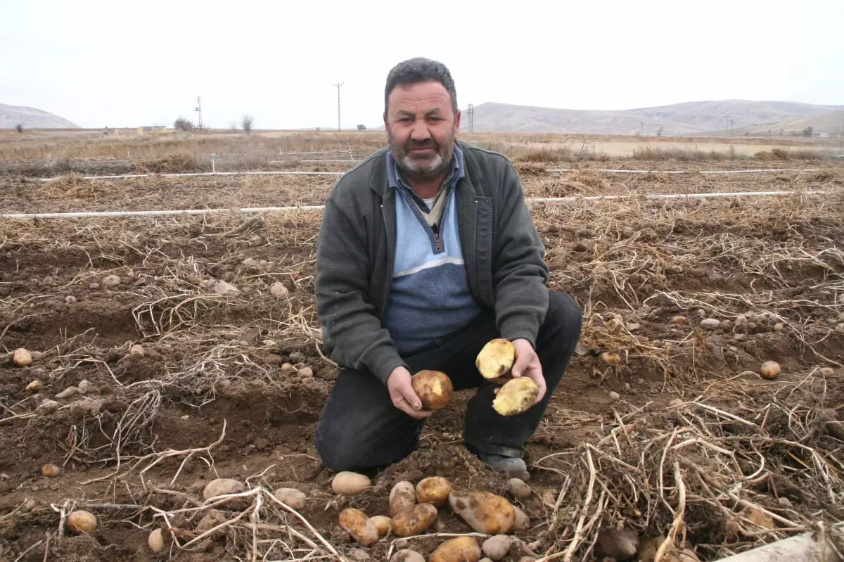 Patates Üreticileri, Tarımsal Sulamada Kullanılan Elektrik İçin İndirim İstiyor