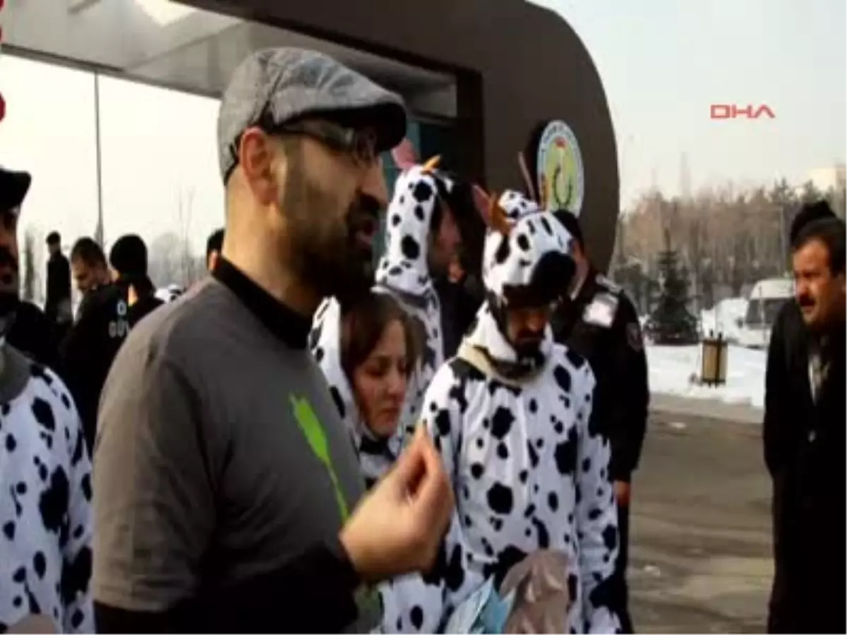 Greenpeace\'den Bakanlık Önünde İnek Kostümlü GDO Protestosu