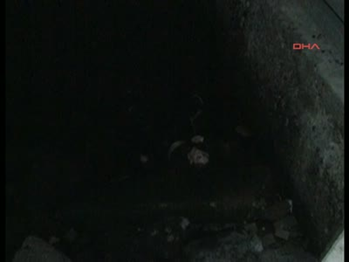 Hayat Kurtarmak İsterken Gözaltına Alındı