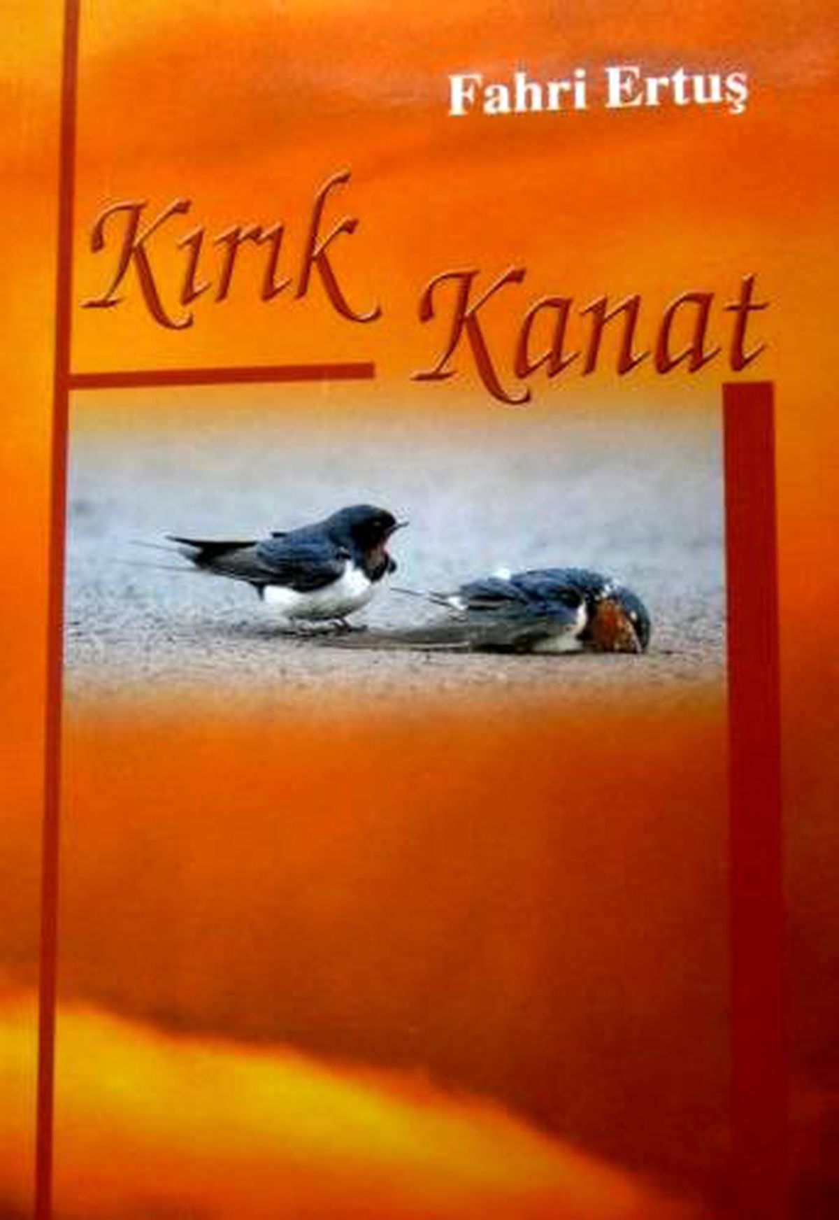 İnşaat İşçisi Genç İlk Şiir Kitabını Çıkarttı