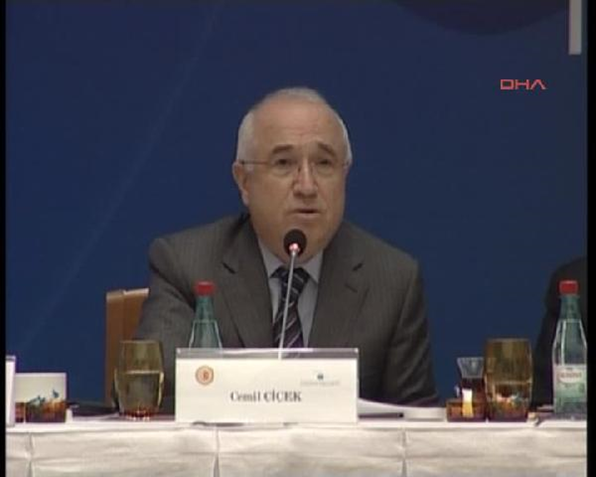 Çiçek Yeni Anayasayı Anlattı