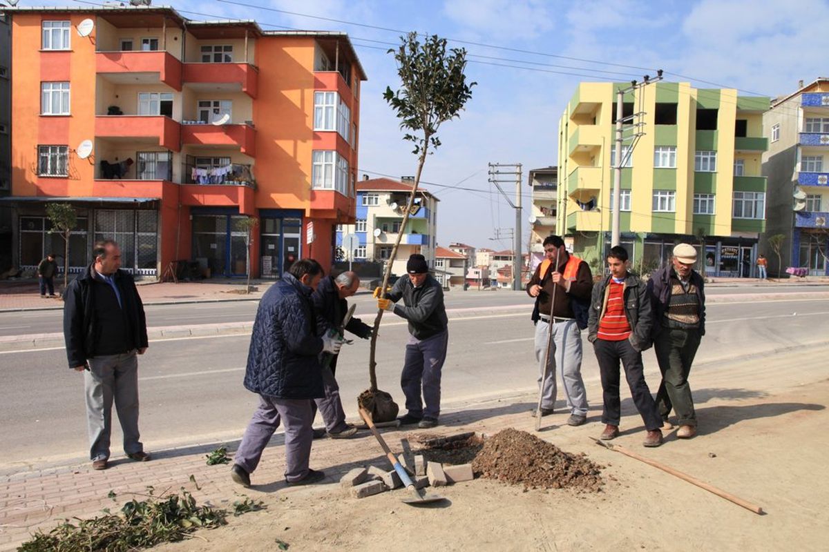 Çayırova Belediyesi İlçeyi Yeşillendiriyor