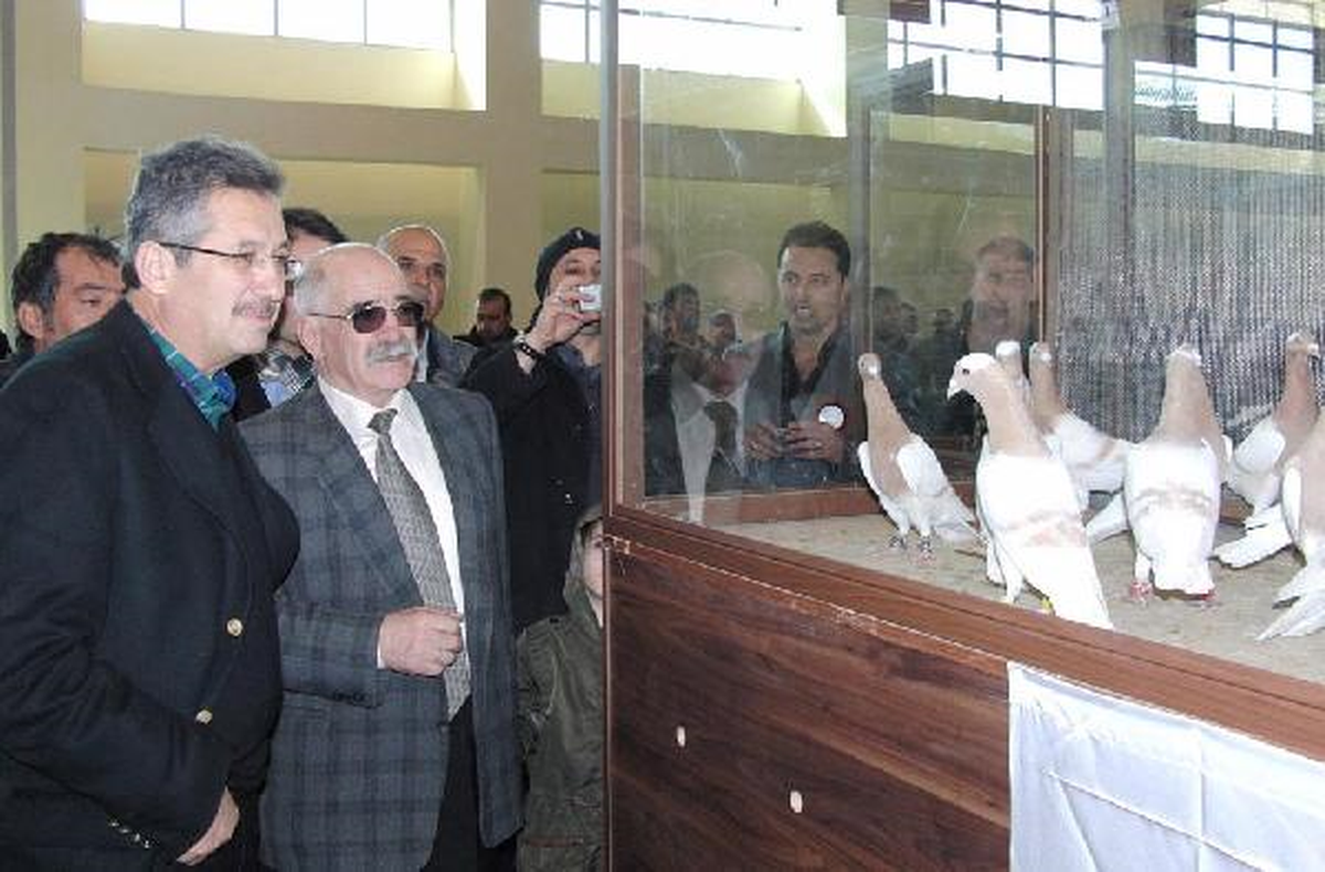 Kahramanmaraş\'ta Güvercin Festivali