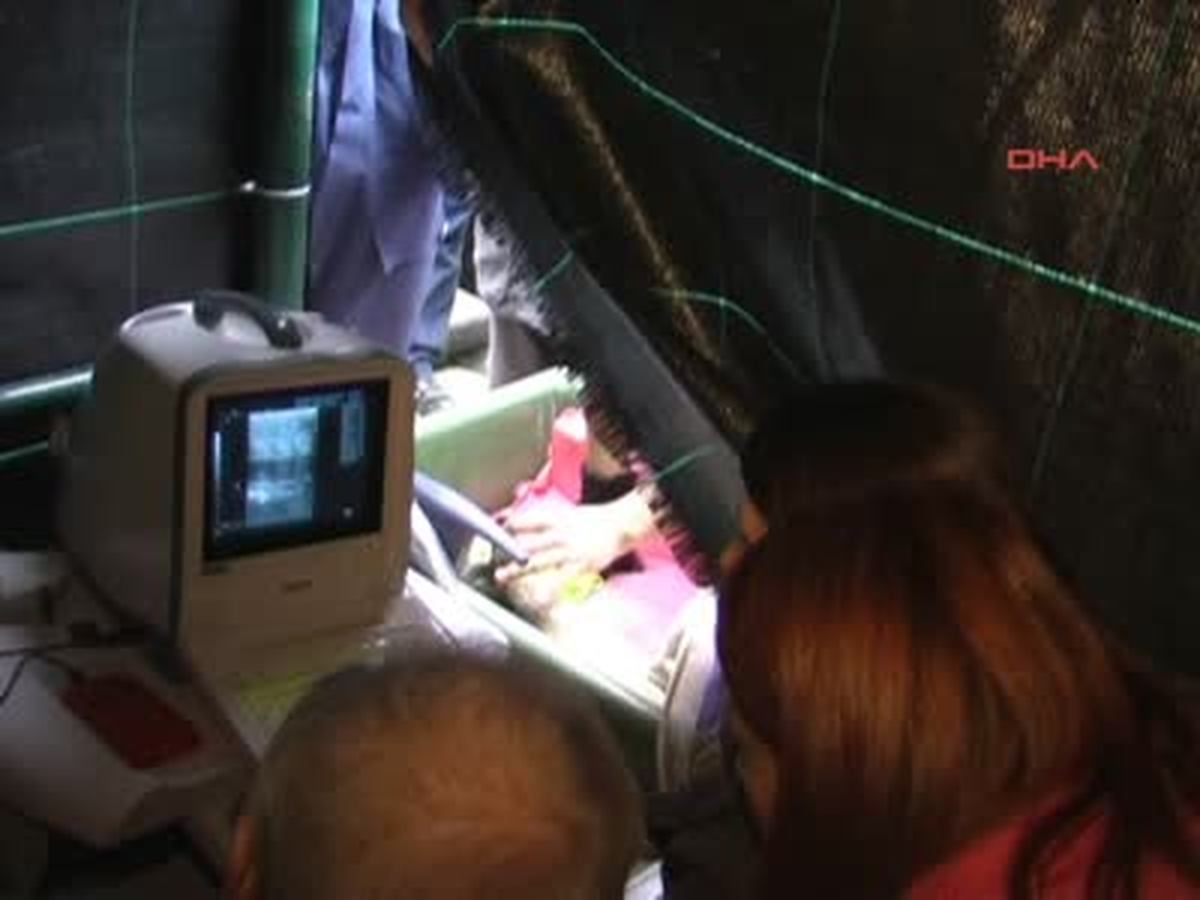 Ultrasonla Mersin Balıklarının Cinsini Belirliyorlar