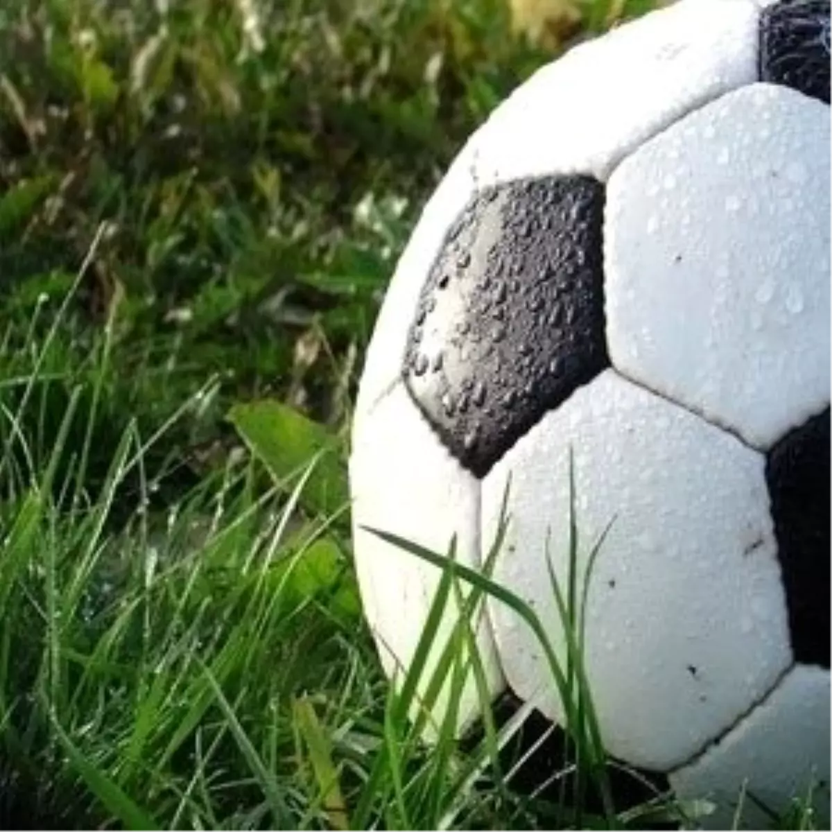 Spor Toto Süper Lig