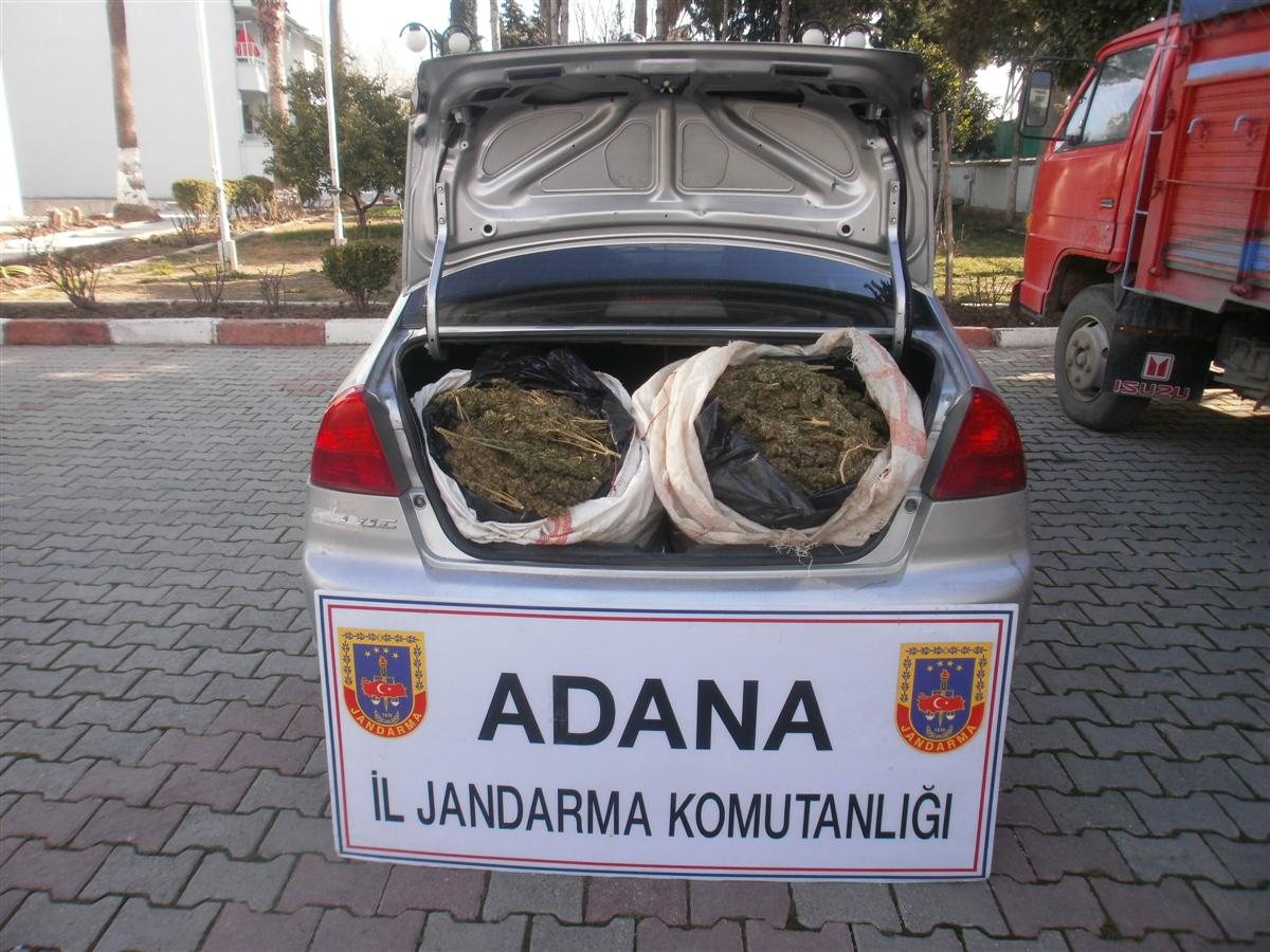 Adana\'da 20 Kilo Esrar Ele Geçirildi