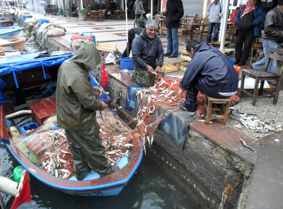 Balıkçılara Yağmurla Gelen Bereket