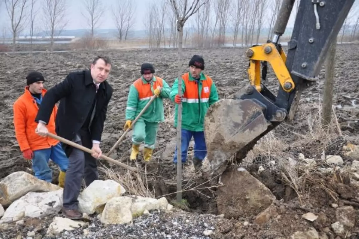 Gümüşçay\'da 2. Etap Ağaçlandırma Çalışmaları Başladı