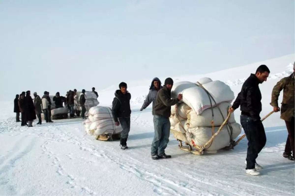 Hayvanların Yemlerini Buz Tutan Barajdan Taşıyorlar