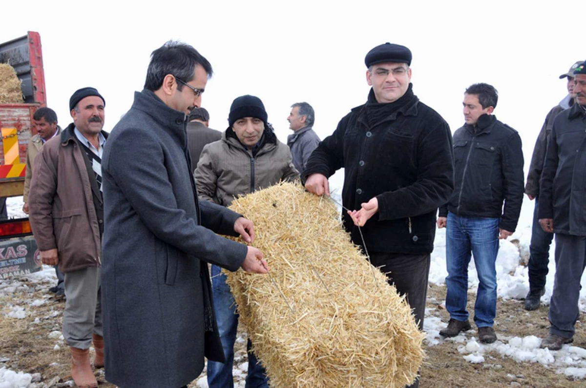 Karaman\'da Yılkı Atları ve Yaban Hayvanlarına Yiyecek Bırakıldı