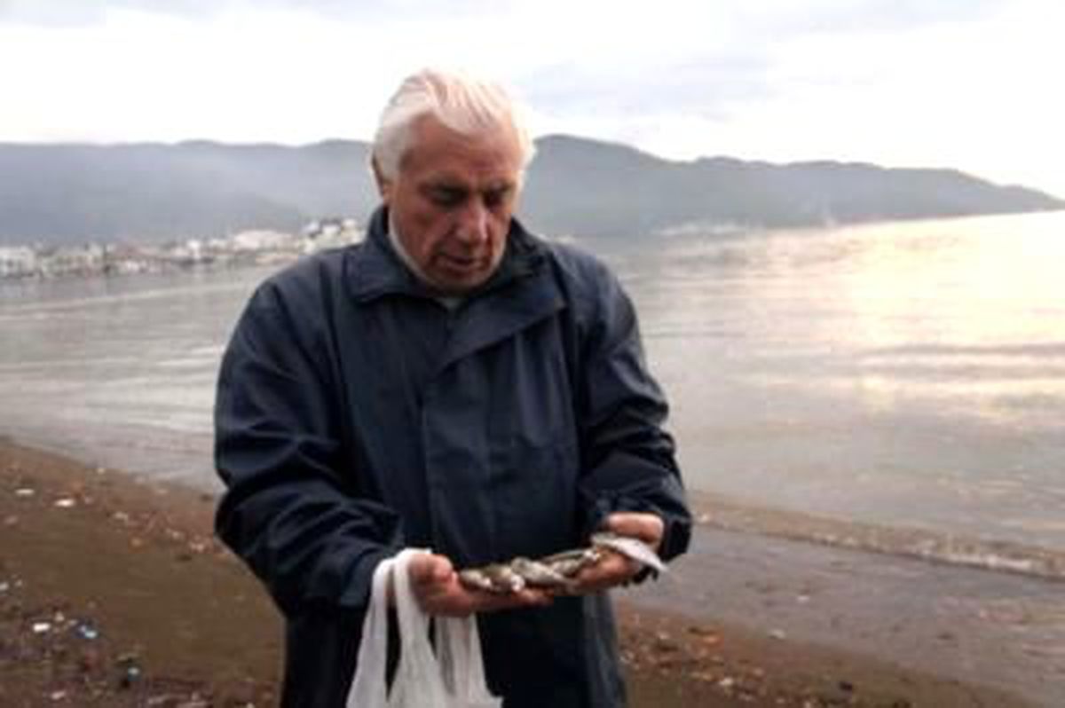 Marmaris Sahili\'ne Binlerce Ölü Balık Vurdu