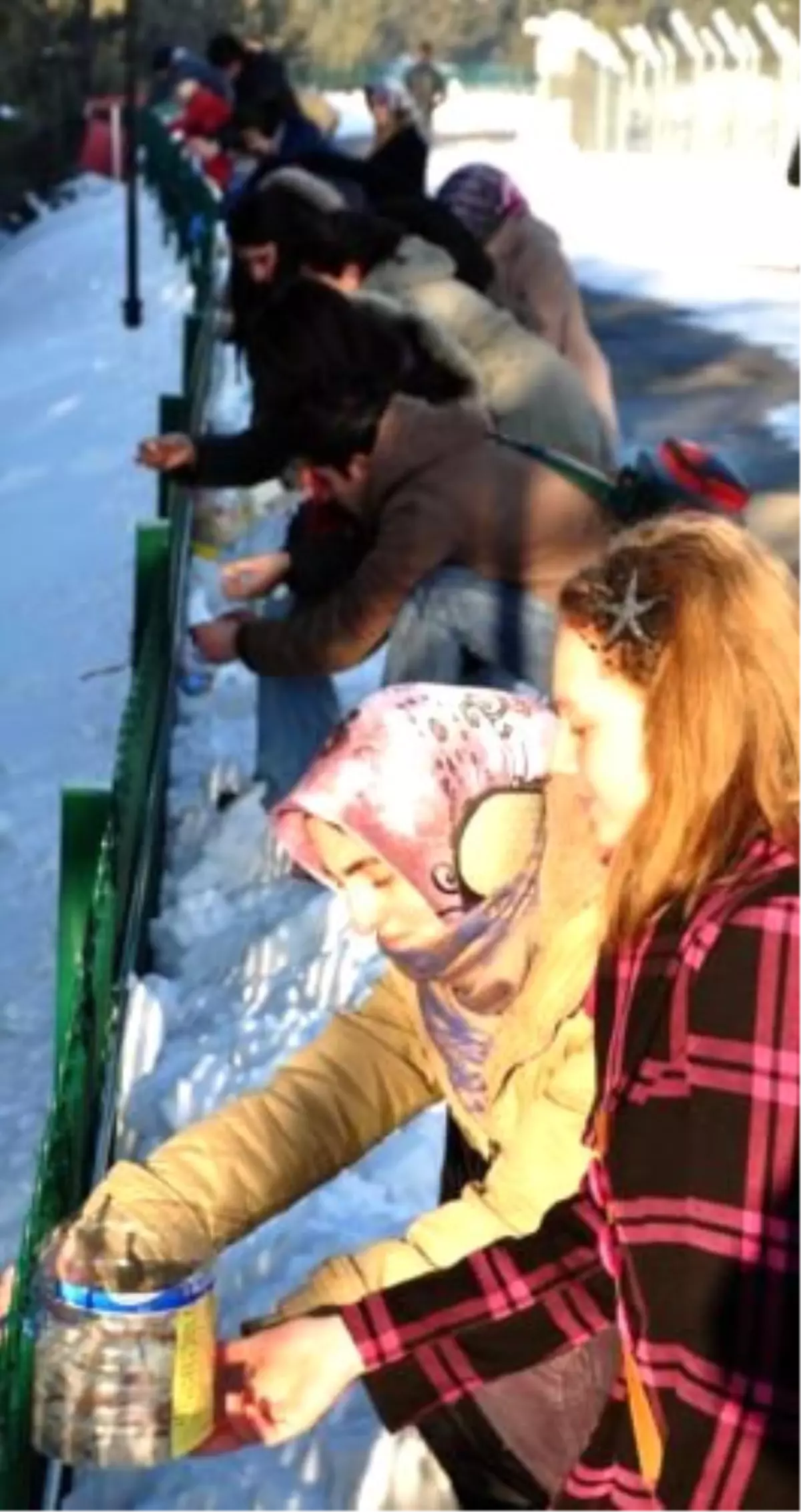 Üniversite Öğrencilerinden Aç Kalan Kuşlar İçin Örnek Çalışma