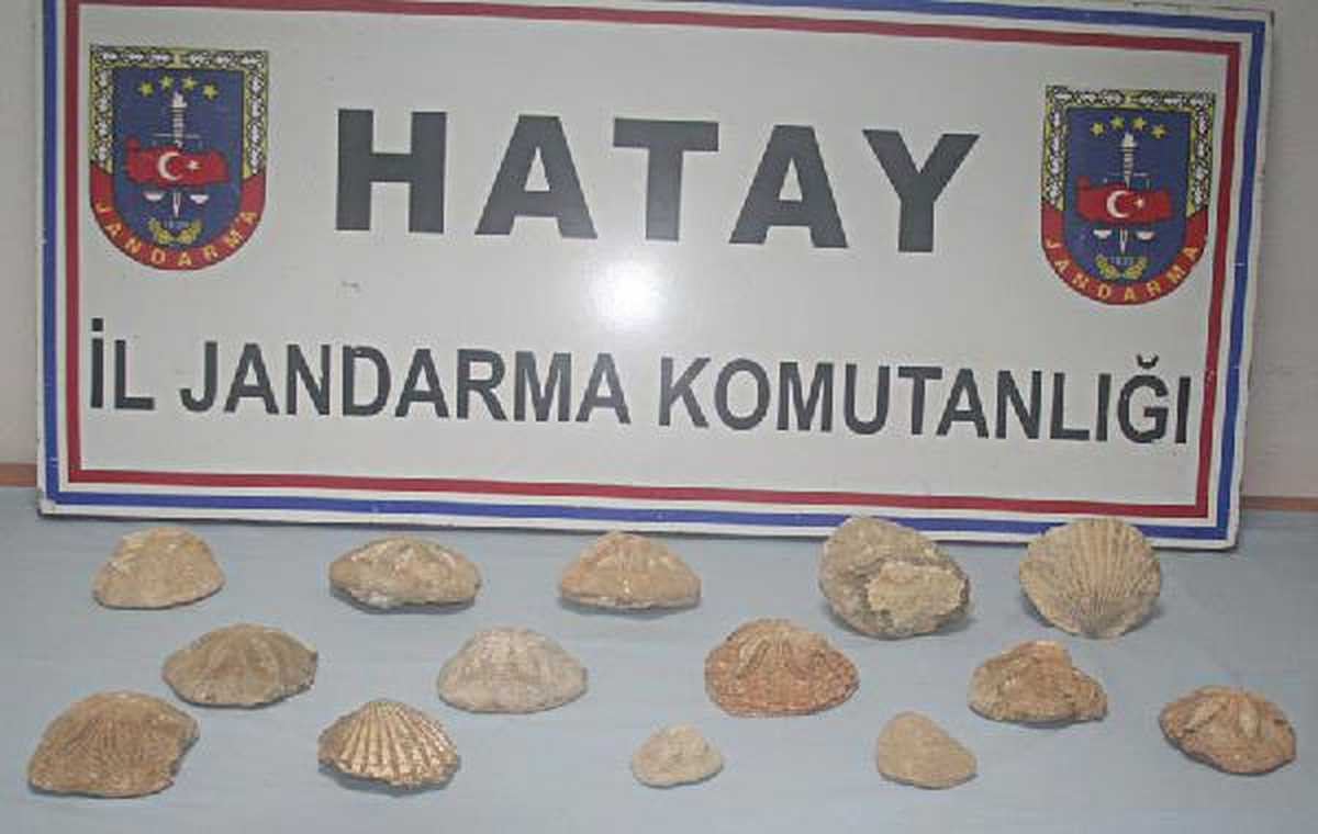 14 Deniz Canlısı Fosilini Satacakken Yakalandı