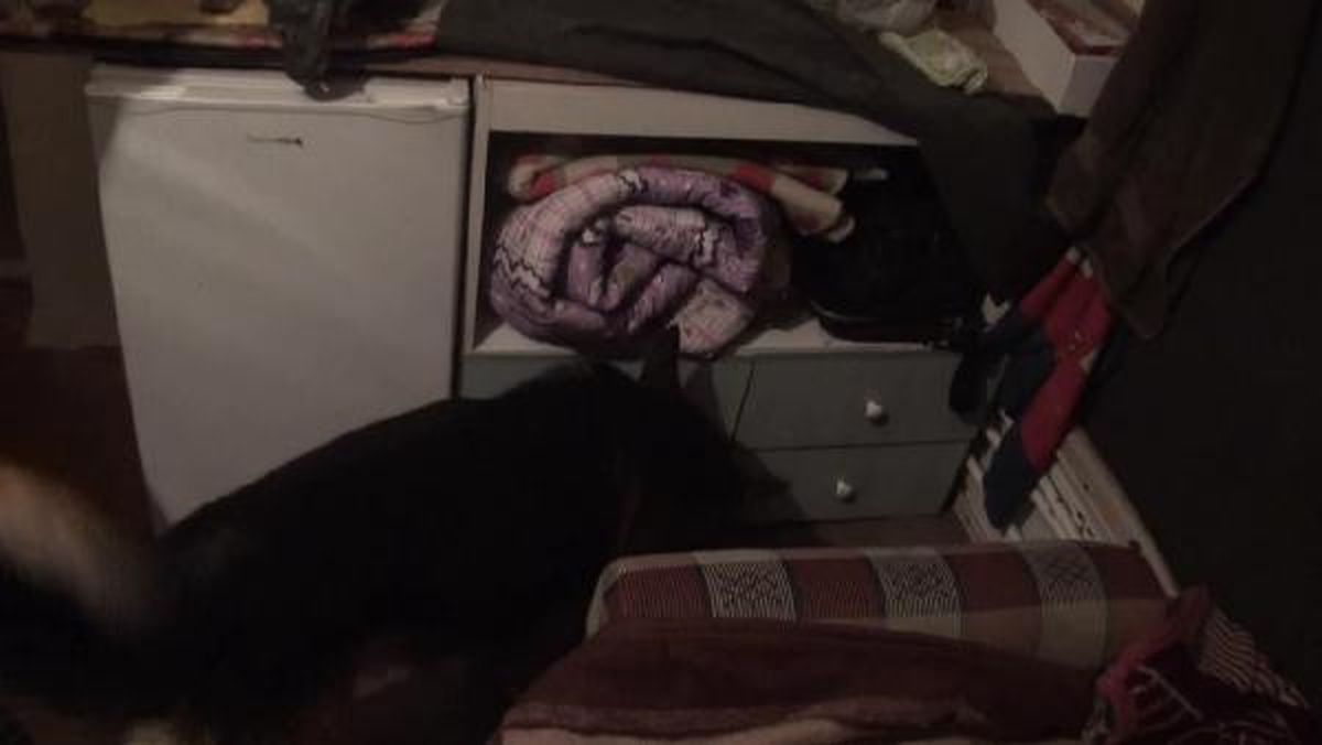 Esrar Operasyonu Polis Kamerasında