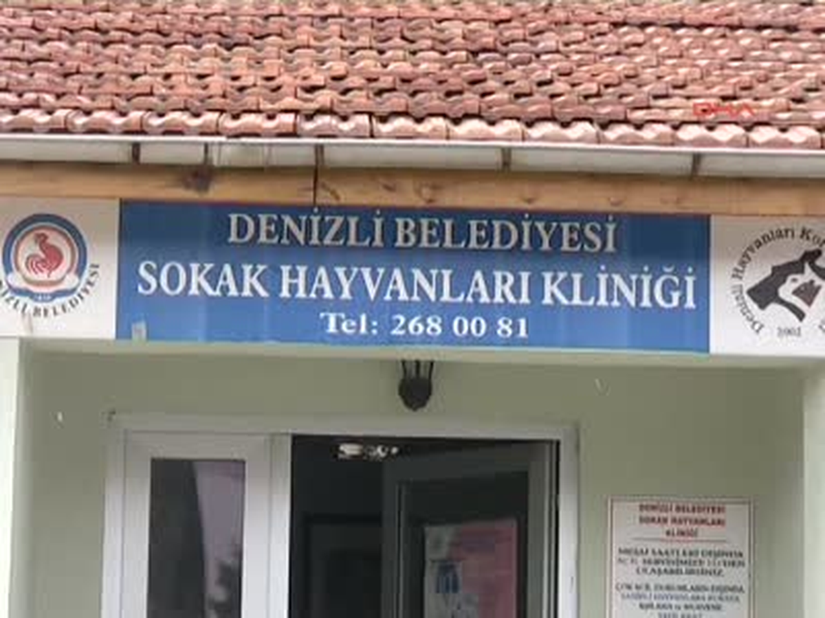 İşkence Mağduru Mazlum Kurtarıldı