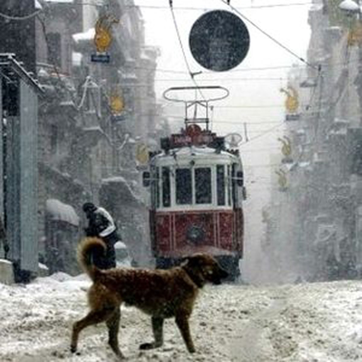 İstanbul Kar Altında