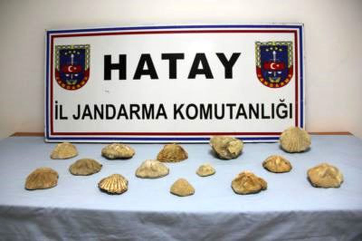 Jandarma\'dan Fosil Operasyonu