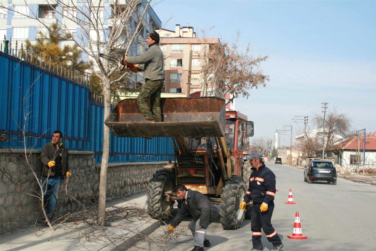 Karatay\'da Ağaçlar Budanıyor