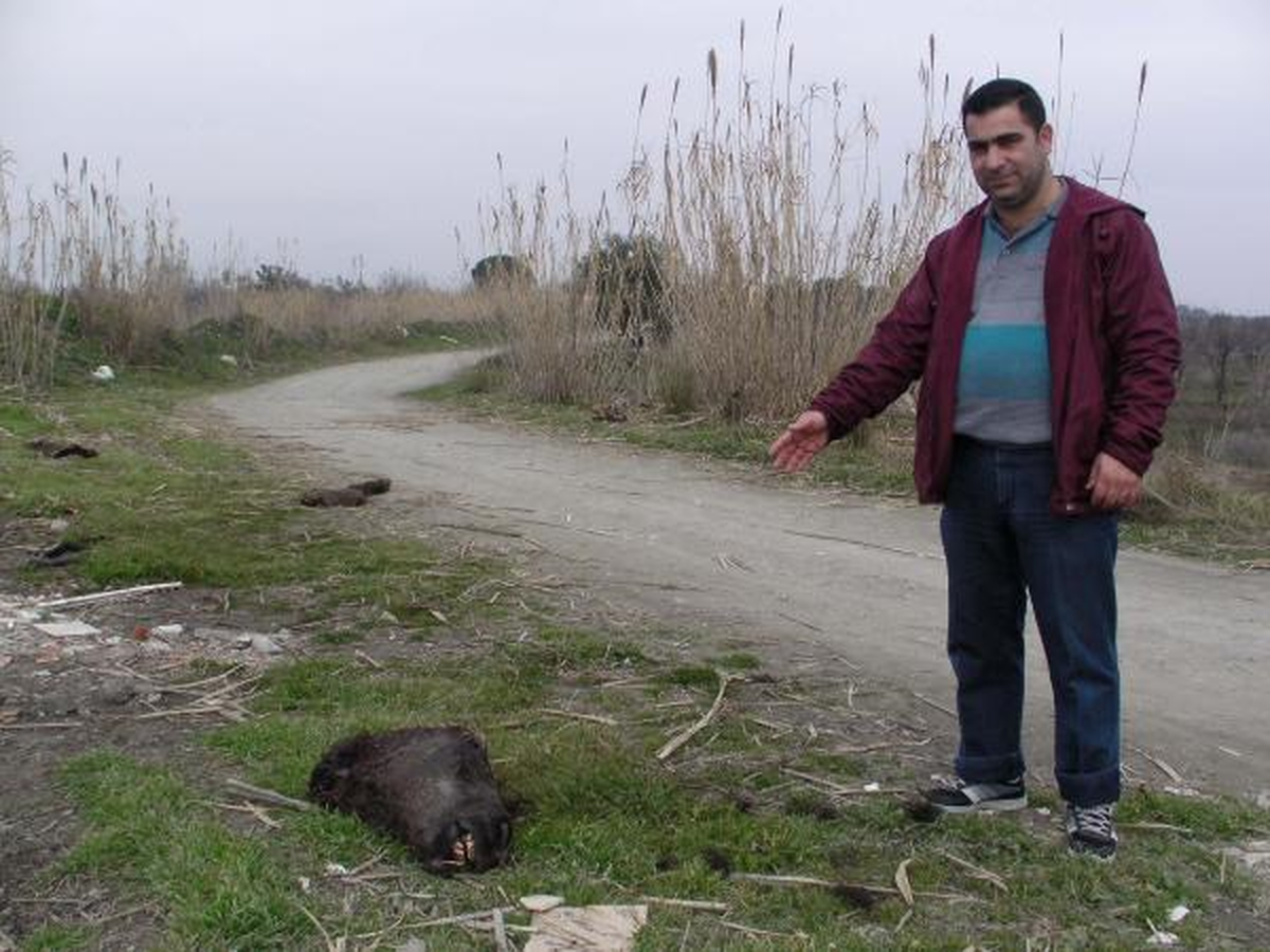 Kesik At Başı ve Bacakları Bulundu